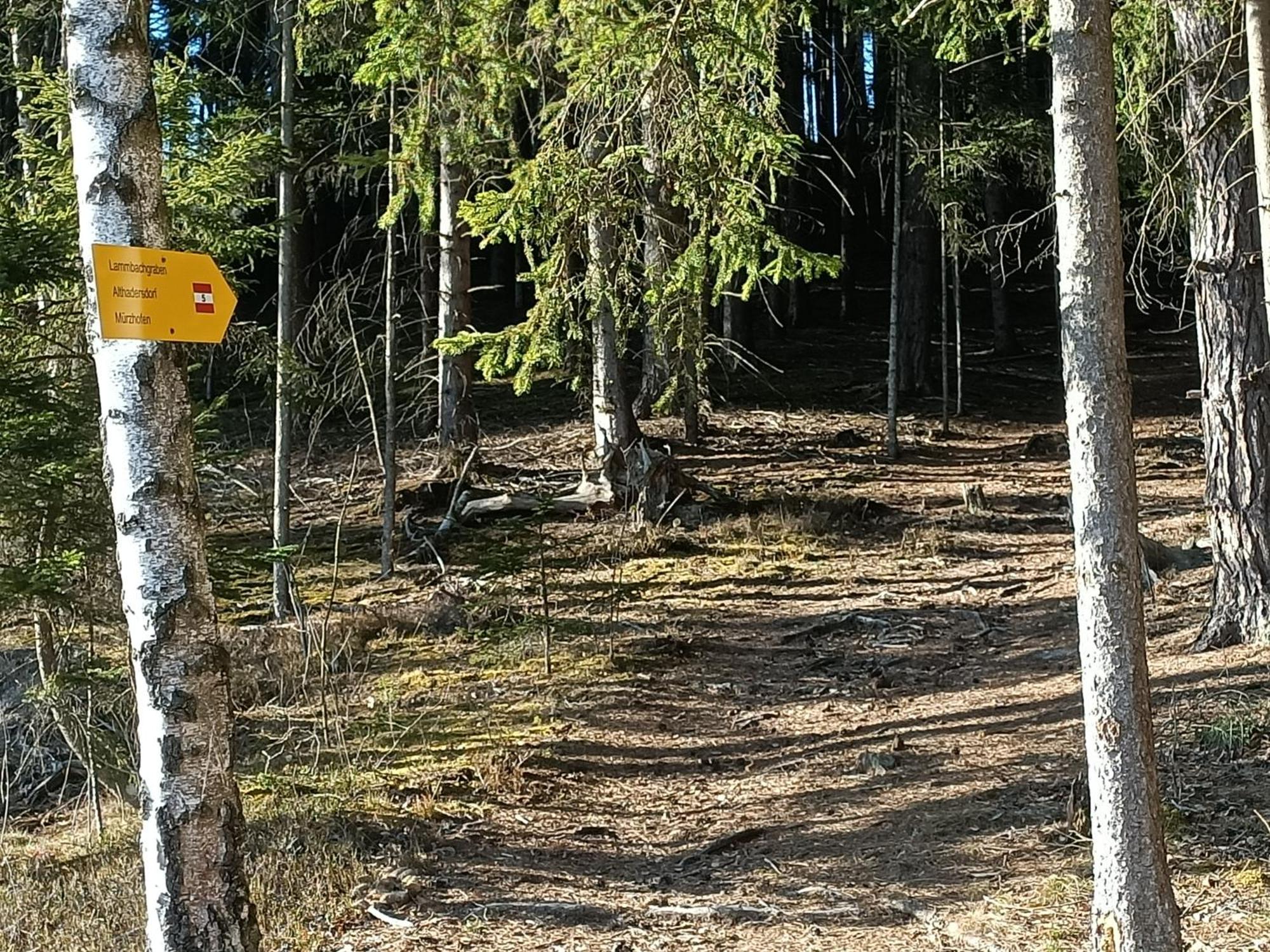 Herzogberghof Kindberg Eksteriør bilde