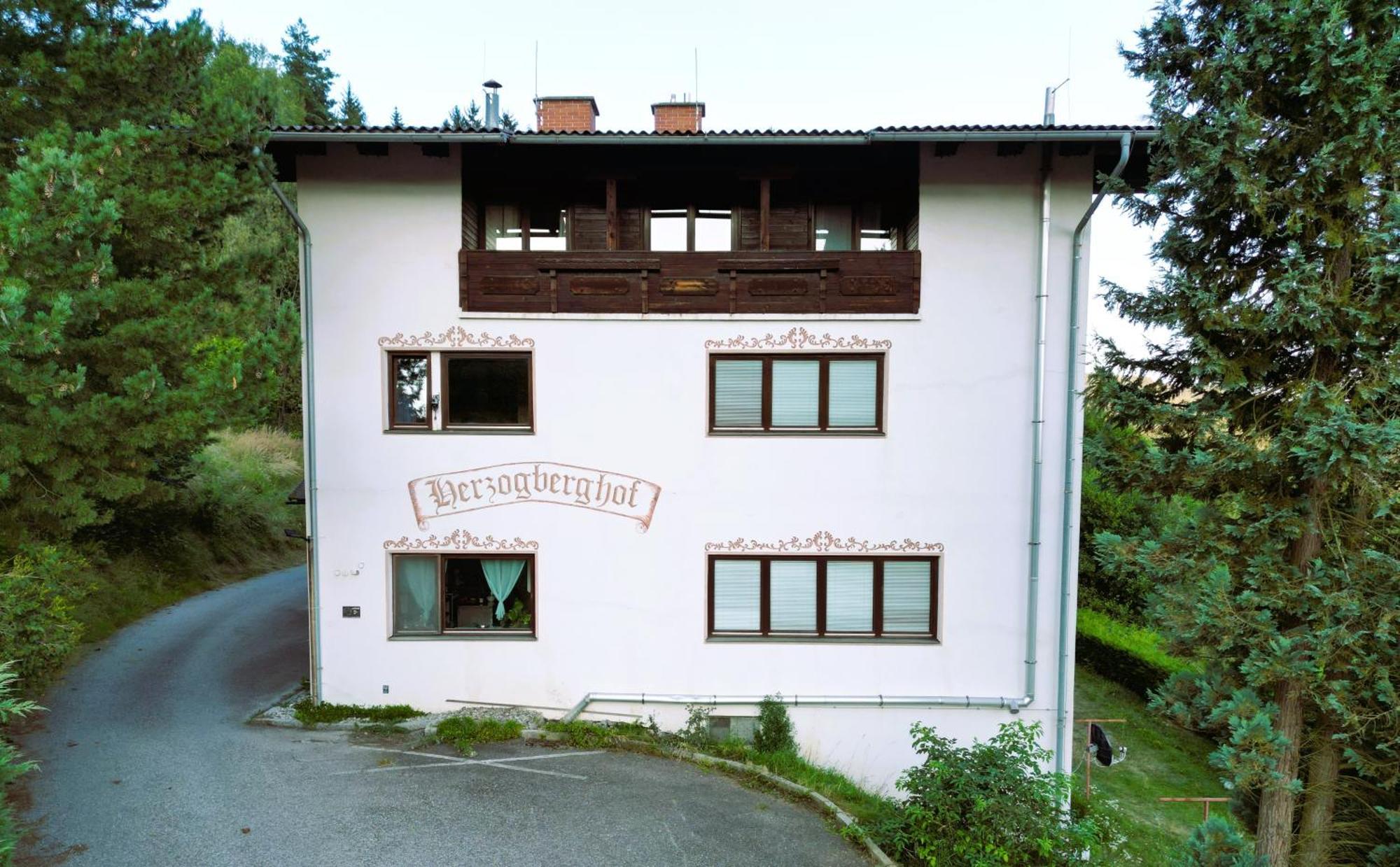 Herzogberghof Kindberg Eksteriør bilde